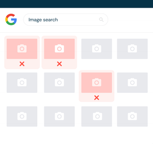 Google Image Removal.