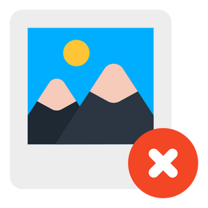 Google Image Removal.